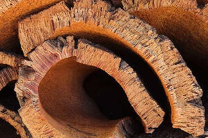Where is Cork Found