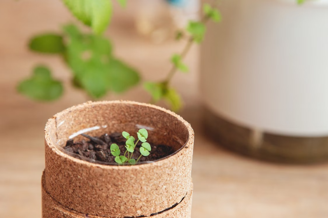 Cork in Your Home Garden is the Best Idea